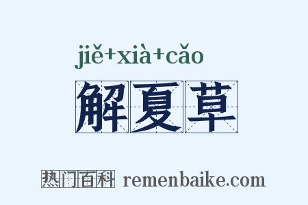 解夏草是什么意思的图片